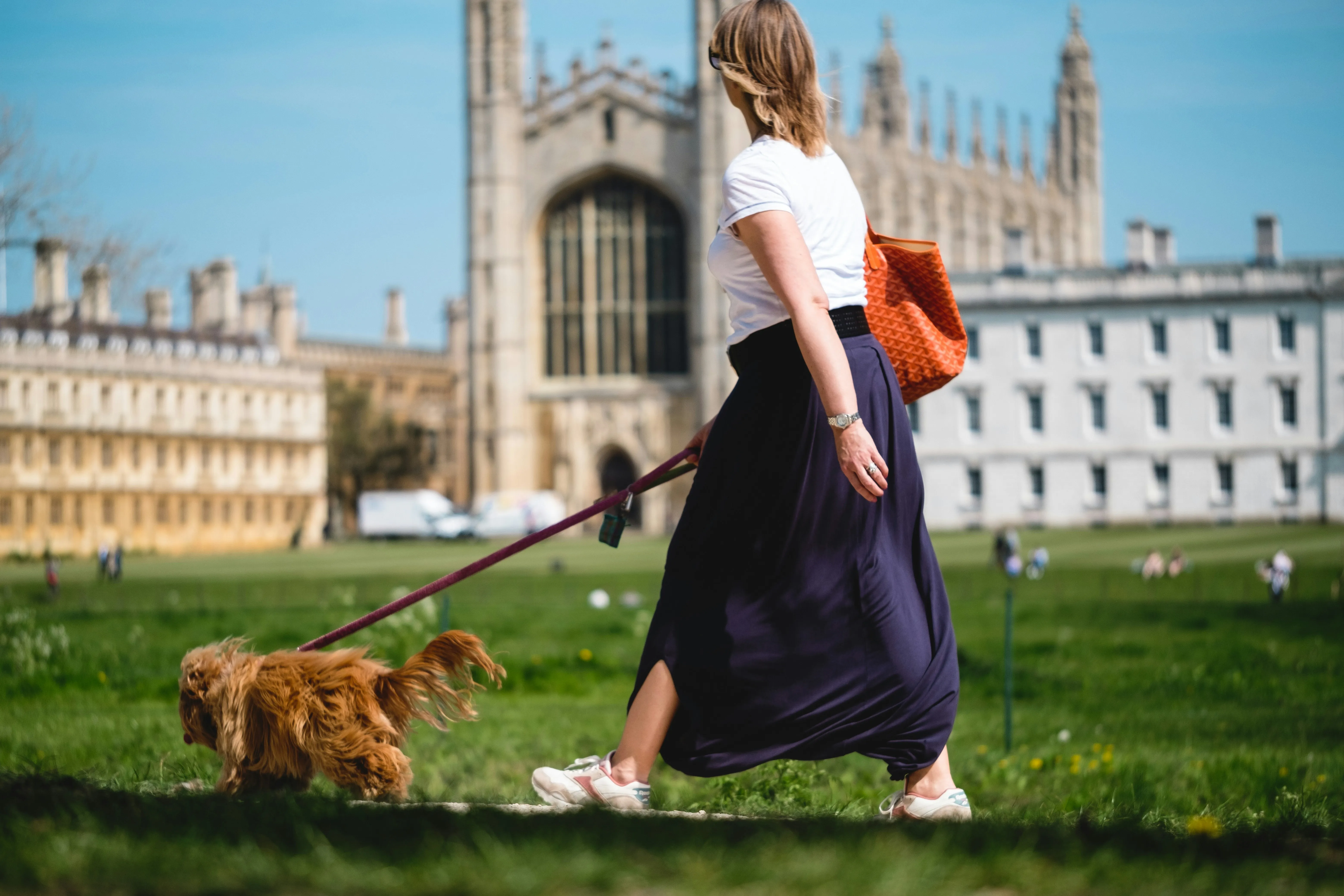 How to Win a Fully Funded UK Master's Degree