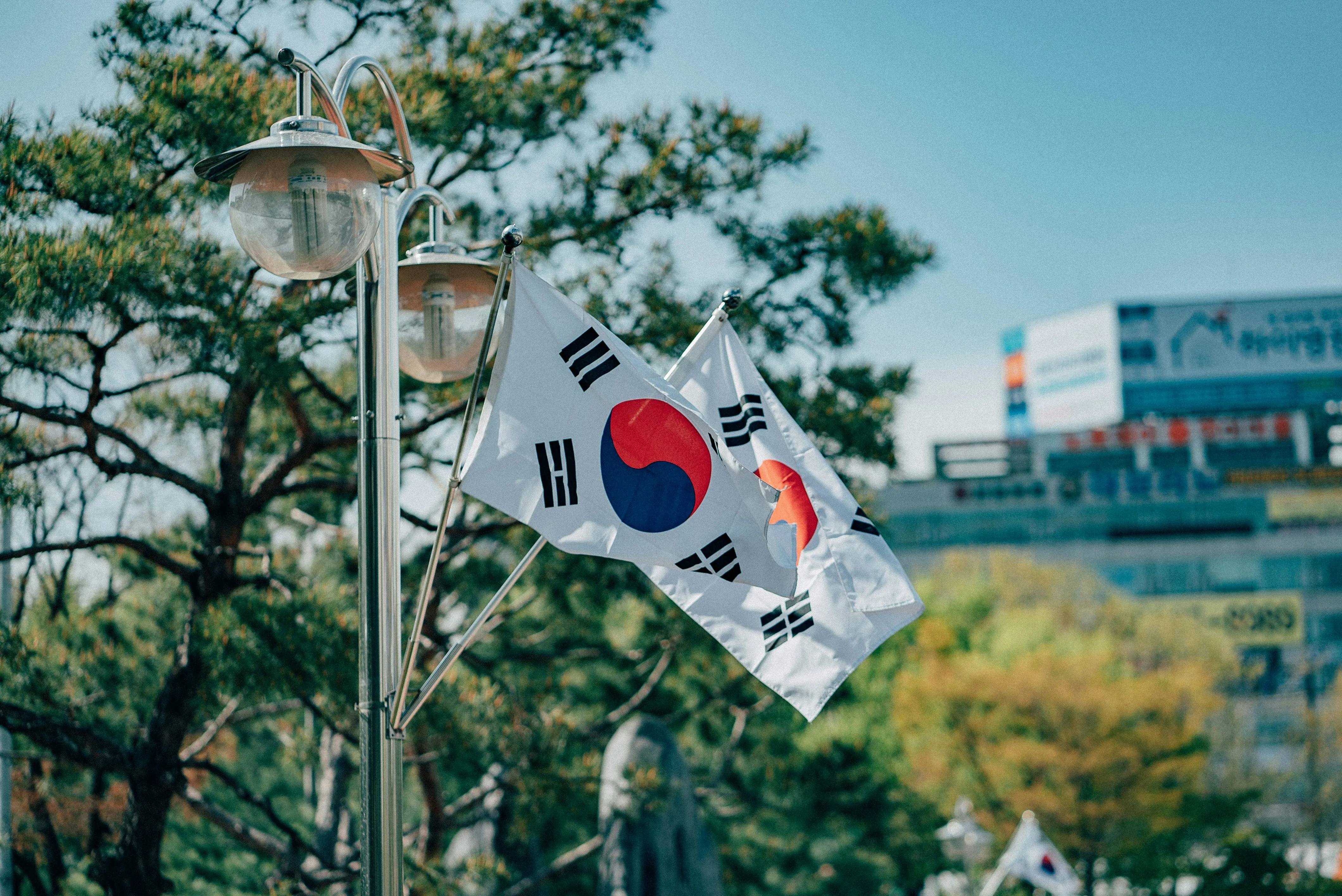 How to Study in South Korea With a Scholarship