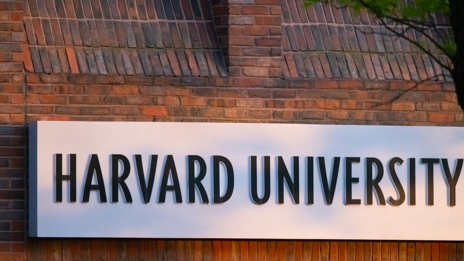 Harvard University sign on a brick wall