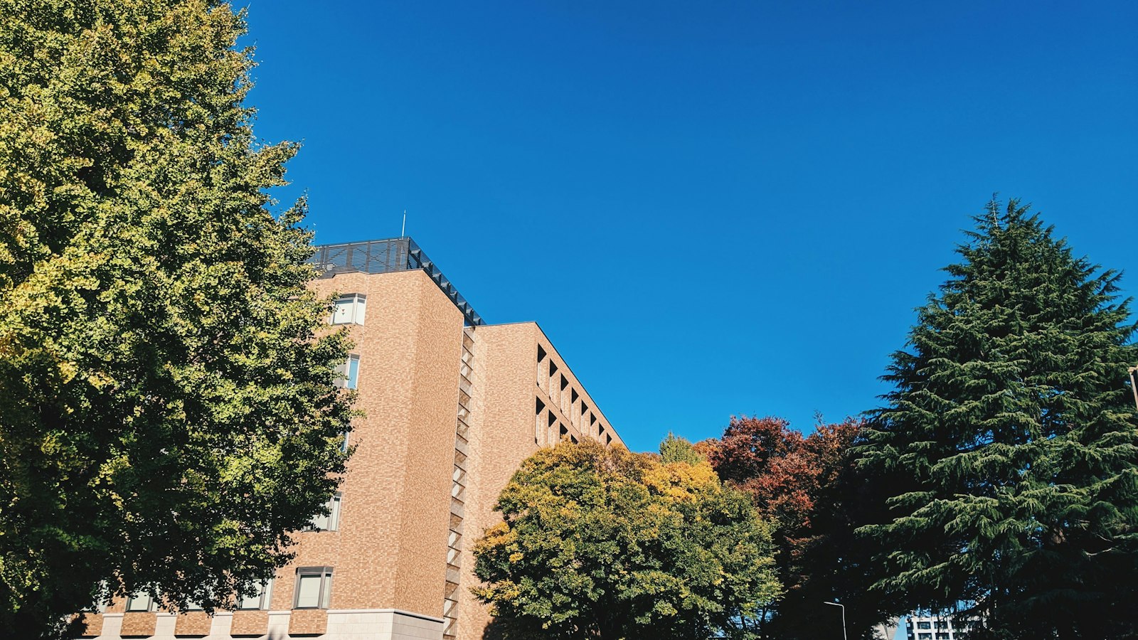 University building surrounded by autumn trees in Tokyo, Japan